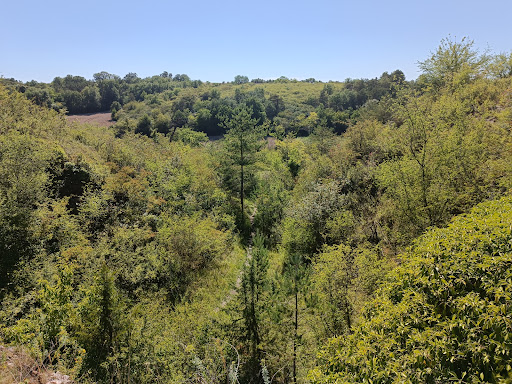 Coteaux et Carrières d'Ensoulesse - Thumbnail