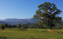 Salon des millets - Soins de bien-être à Rosans
