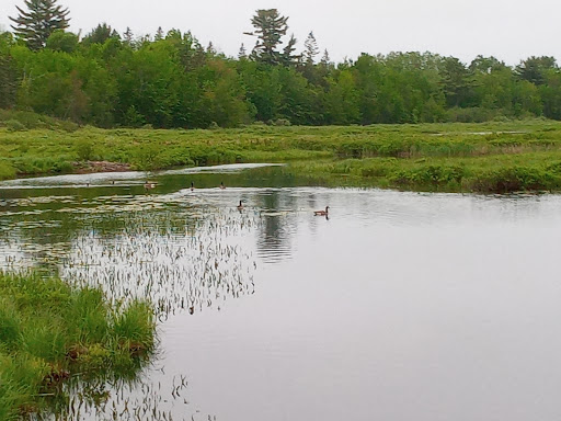 Moosehorn National Wildlife Refuge Admin Building And Visitor Contact Station - Thumbnail