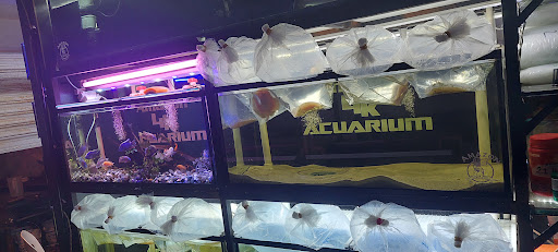 4k acuario atarasquillo
