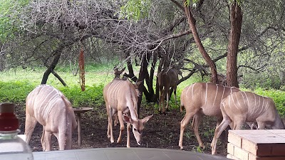 Photos of Inyoni House