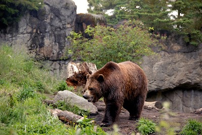 Woodland Park Zoo