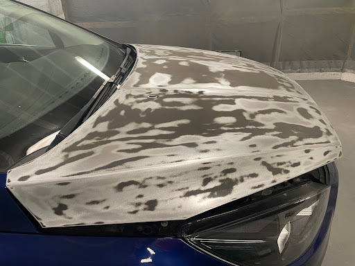 Camel Panel Repairs - Visual