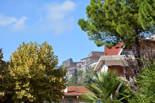 Centro Medico Sociale "Don Orione"