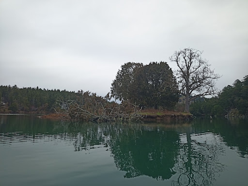 Mitchell Island - Visual