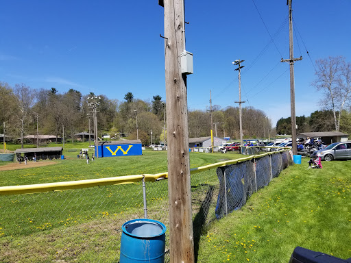 Miller Fields - Visual