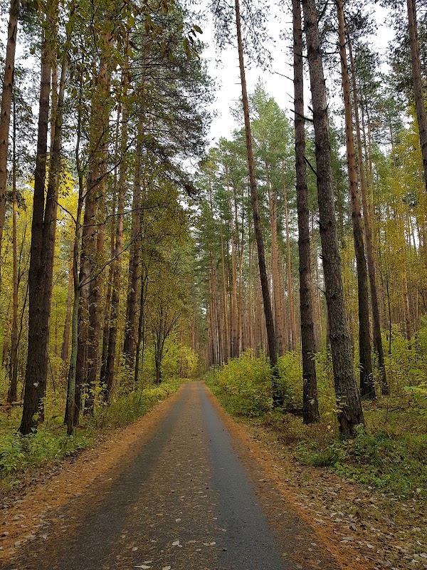 Нижняя кама национальный парк