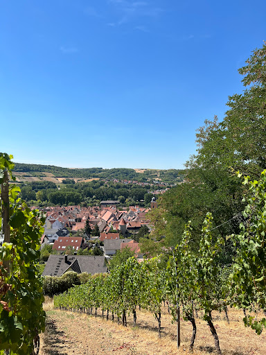 Aussichtspunkt Sommerhausen