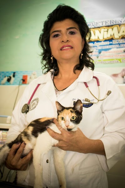 Photos of Agroveterinaria Los Animales
