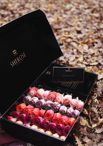 SHEROSE - Visual
