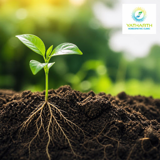 Feeling tired, stressed, or stuck with recurring health issues? At Yatharth Homeopathic Clinic in… post image