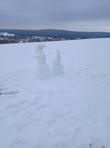 Ruschelhang am Spiegelwald - Thumbnail