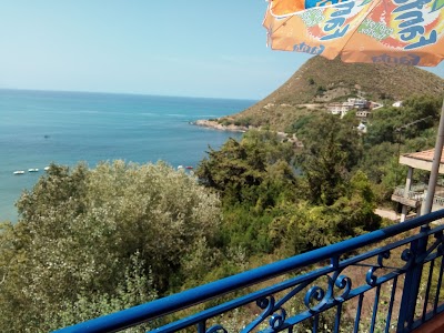 Photos of LE FRUIT DE MER#