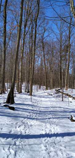 Dryden Tract - Thumbnail