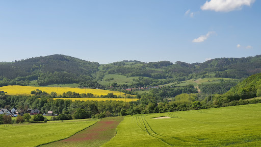 Gleitsch - Visual