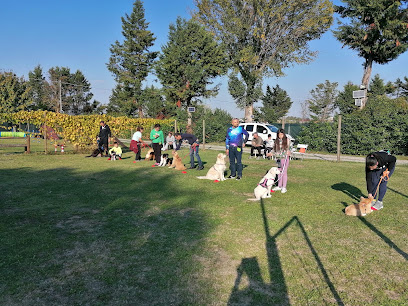 doggy world asd