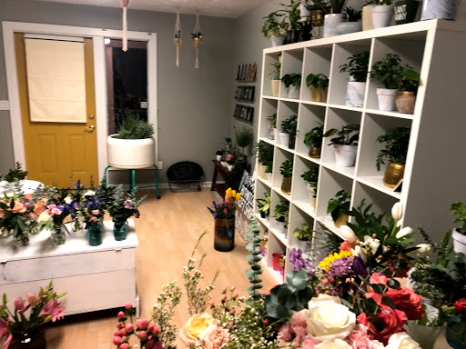 Flower - Visual