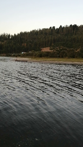 Opiniones de Playa Huillinco en Contulmo - Camping