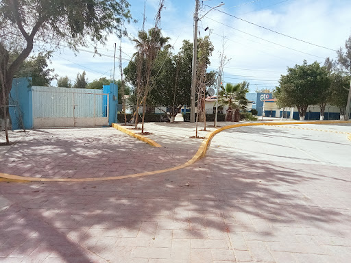 Escuela Primaria Vicente Guerrero 11DPR1892I - Thumbnail