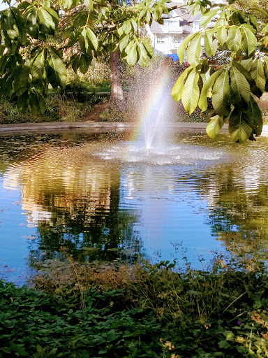Goldfischteich - Visual
