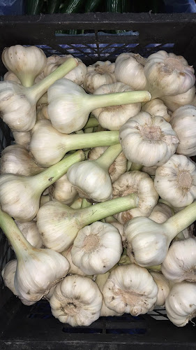 Comentarii opinii despre Η Γκίντα