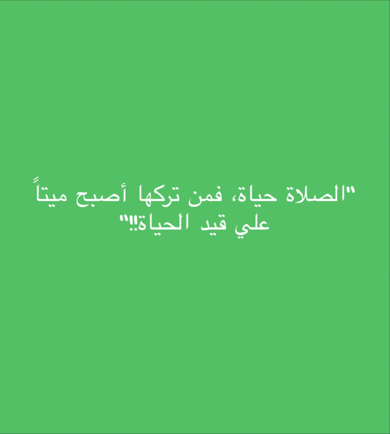 بوفيه الوادي الأخضر - صورة 2