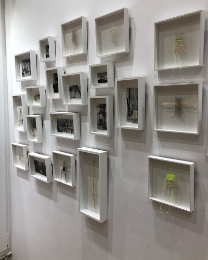 Boscogallery - Thumbnail