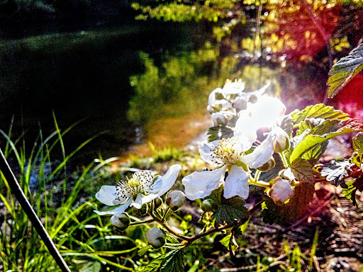 Lower Ocoee River Put-In - Thumbnail