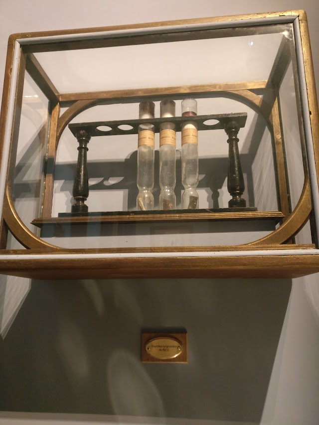 Musée de l'Institut Pasteur de Lille