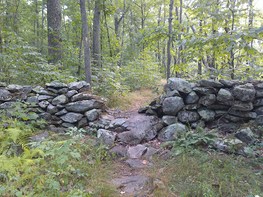 Coney Rock Preserve Gallery - United States