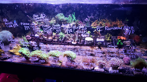 Ultimate Aquarium Inc
