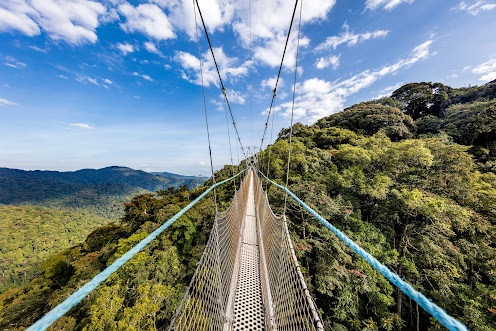 Photo of Nyungwe National Park