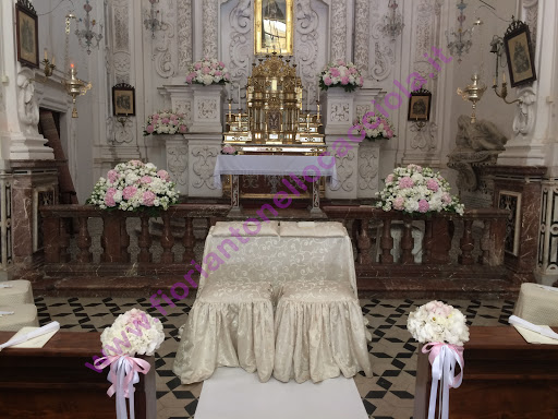 Taoflora di Antonello Cacciola