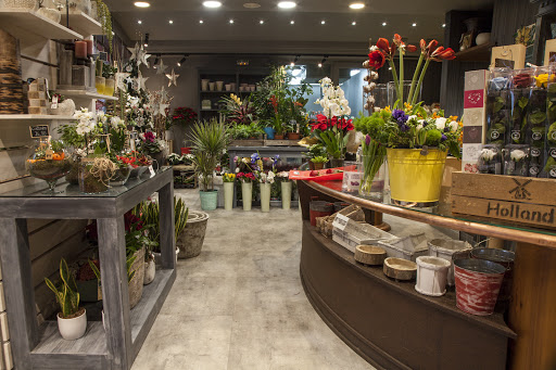 San Alberto Nuñez florist JuntoTanatorio - Thumbnail