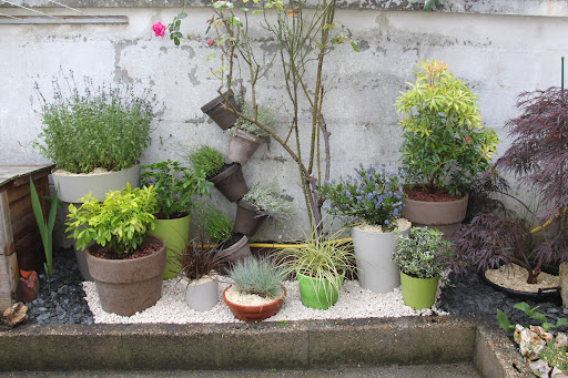 Photo de Elb jardinage et potager à Saint-Étienne-du-Rouvray (76800)