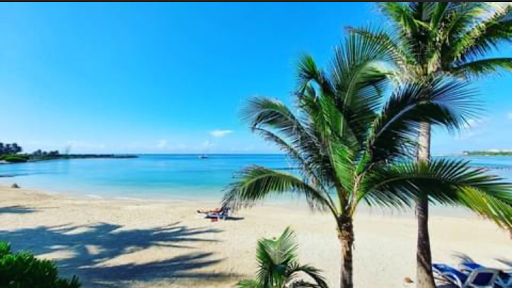 VACACIONES EN EL PARAISO