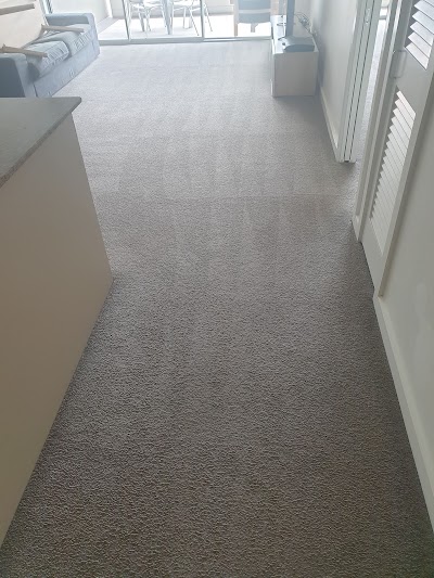Photos of CARPESTOLOGY