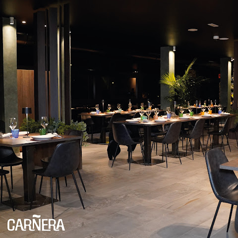 Carnera by null