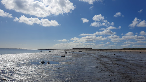 Seaton Point - Visual