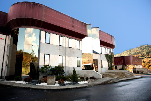 Vinos & Bodegas Gallegas