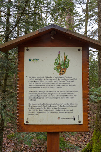 Naturpfad Hagenschieß - Thumbnail