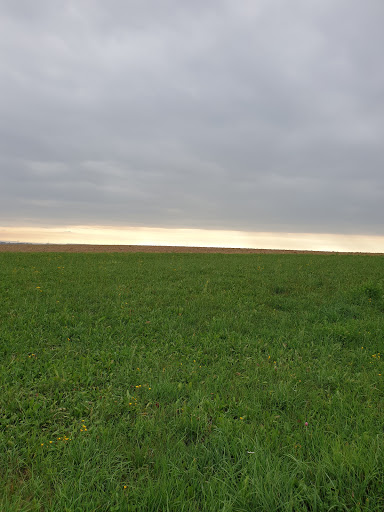 Wegkreuz Kreuzäcker - Thumbnail