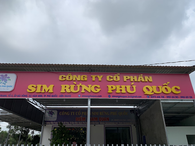 Rượu Sim Rừng Hải Phong – Đặc Sản Phú Quốc, Kiên Giang