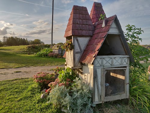 Rabbit Village