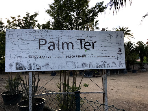 Palm Ter - Thumbnail