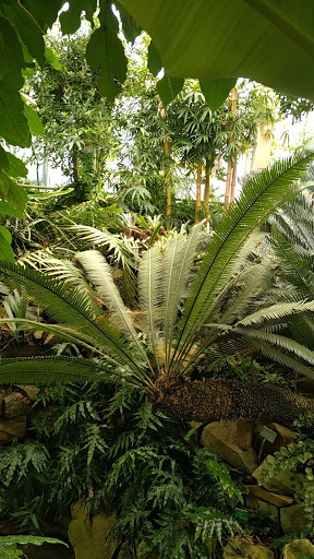Jardin des senteurs et du toucher Gallery - France