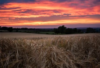 Webbers Estate Agents South Molton