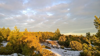 Photos of S&auml;&auml;re tirp