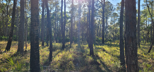 Tosohatchee Youth Camp Gallery - United States
