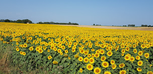 Photo n°8 de Agence Baratte Immobilier à Rochefort (Agence immobilière)